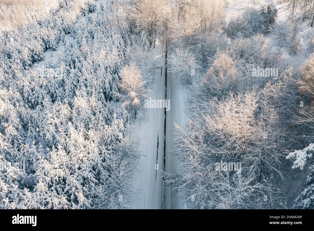 Aerial view from drone of snowy ice road in sunny winter day. Birds eye drone view of empty asphalt road surrounded by beautiful coniferous forest. Fly over winter road Stock Photo