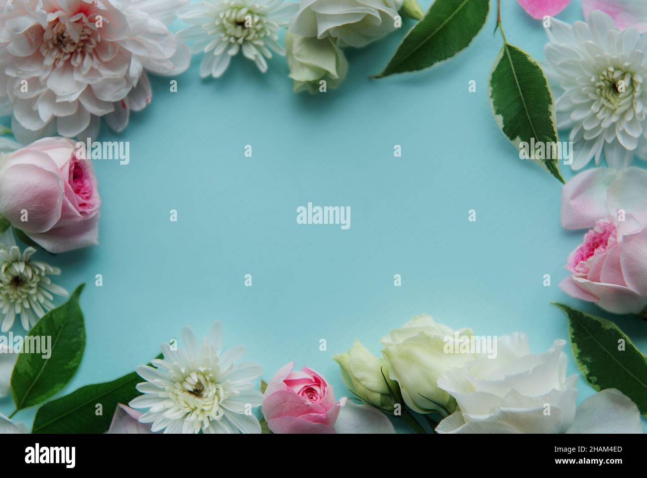 Frame made of pink flowers on pastel blue background Stock Photo - Alamy