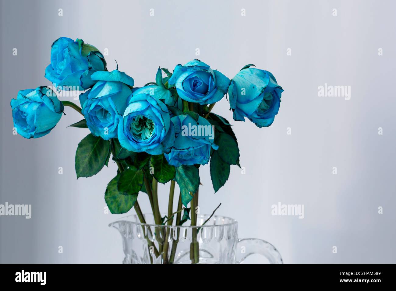 Small bouquet of blue rose Stock Photo - Alamy