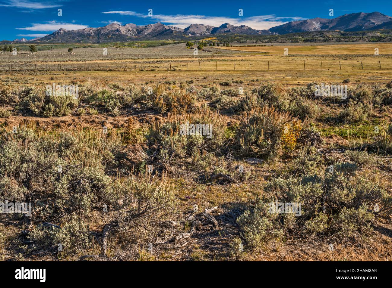 Wind River Range, sagebrush steppe, view from Lander Cutoff Road (CR 132), following Continental Divide, Wyoming, USA Stock Photo