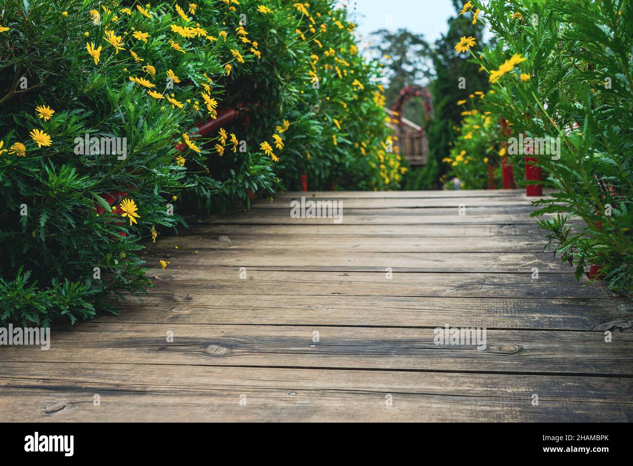 A wooden garden bridge between blooming bush of flowers. Beautiful park landscaping. Da Lat, Vietnam Stock Photo