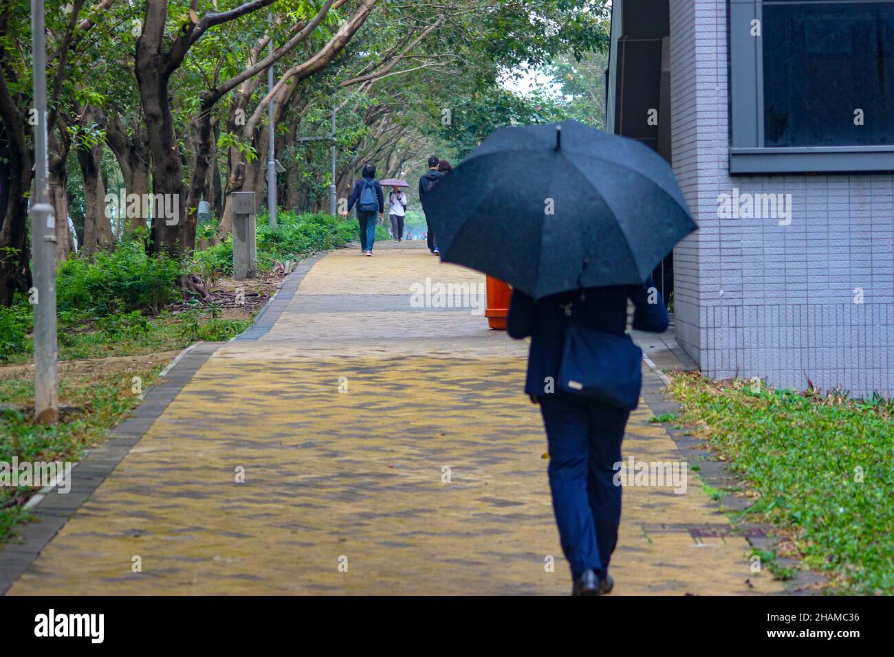 Man walking along the street with a black umbrella Stock Photo - Alamy