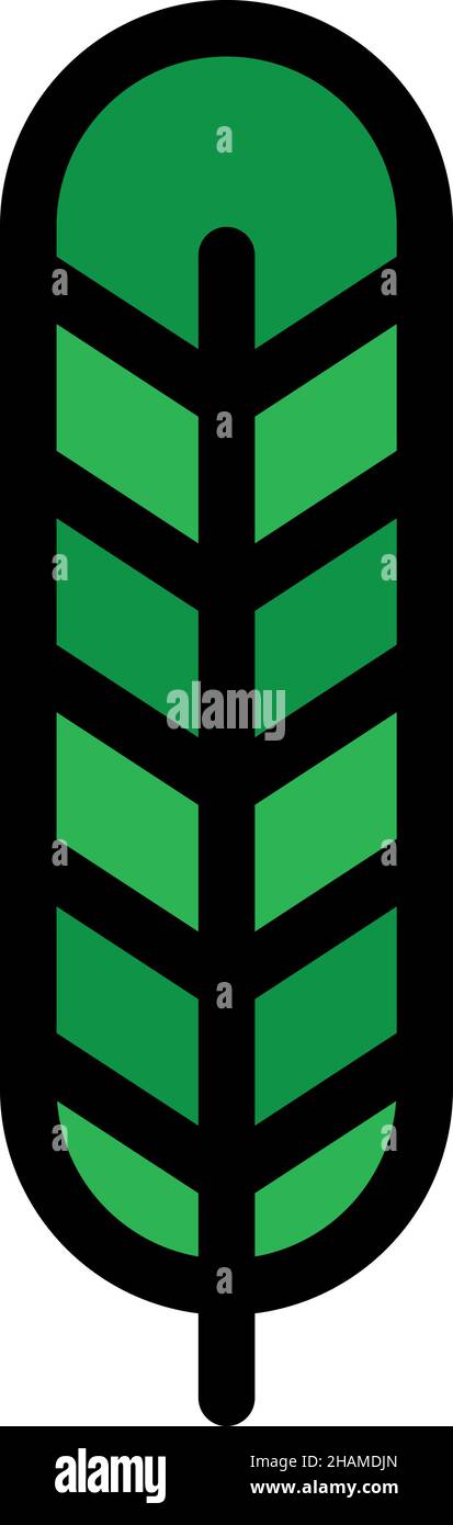 Decorative feather icon. Outline decorative feather vector icon color ...