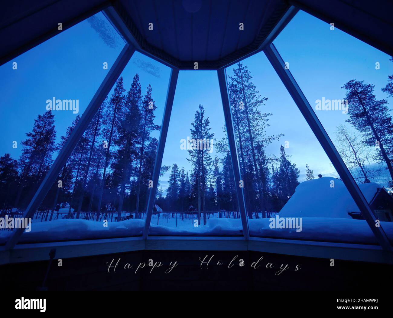 room with outside window view of frosty snow covered pine forest trees ...