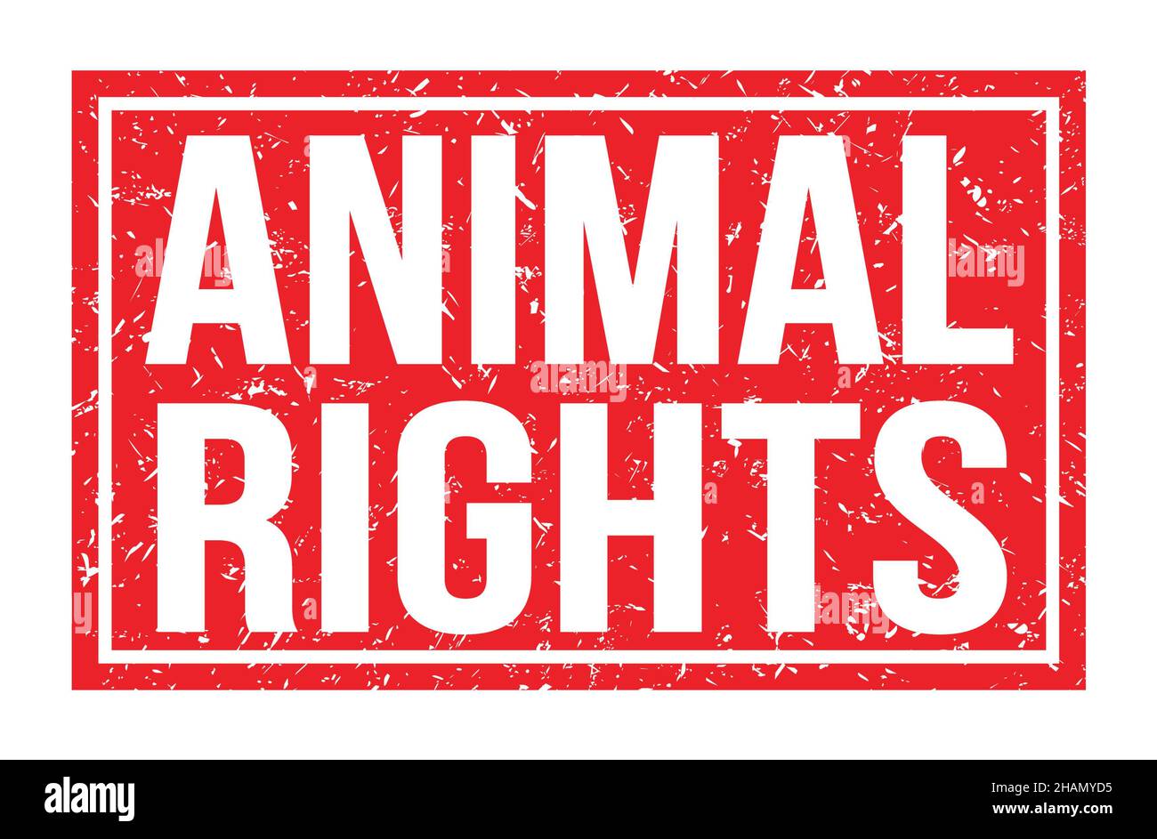 ANIMAL RIGHTS, words written on red rectangle stamp sign Stock Photo