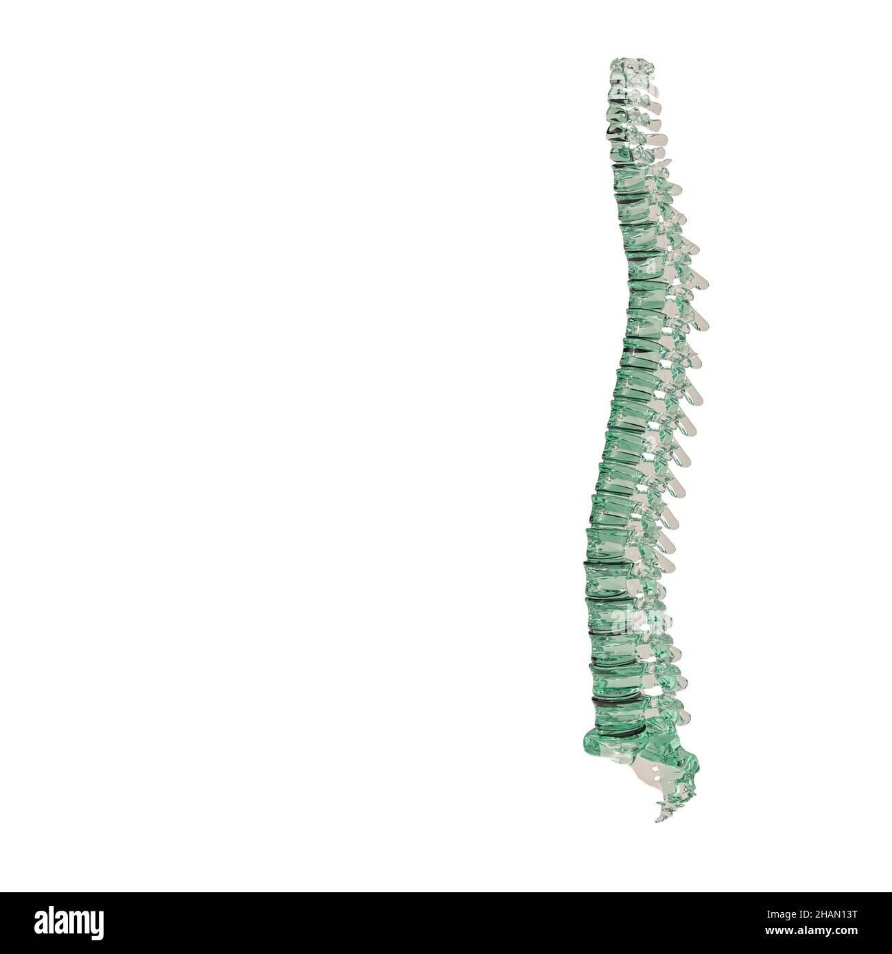glass spine on white background. 3d render Stock Photo