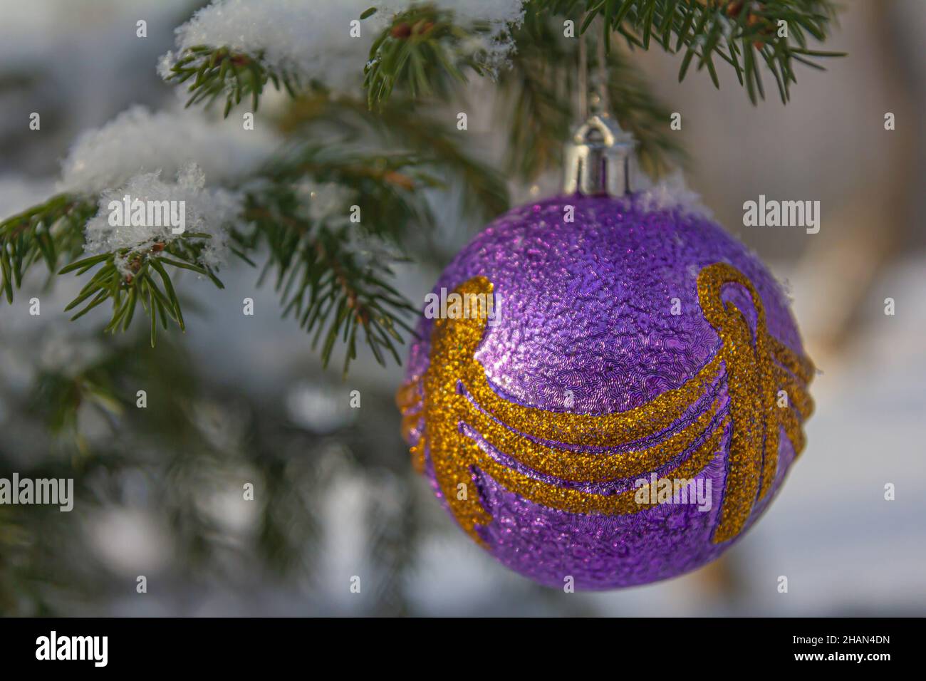 Christmas toy on a spruce branch covered with snow in the winter forest Stock Photo