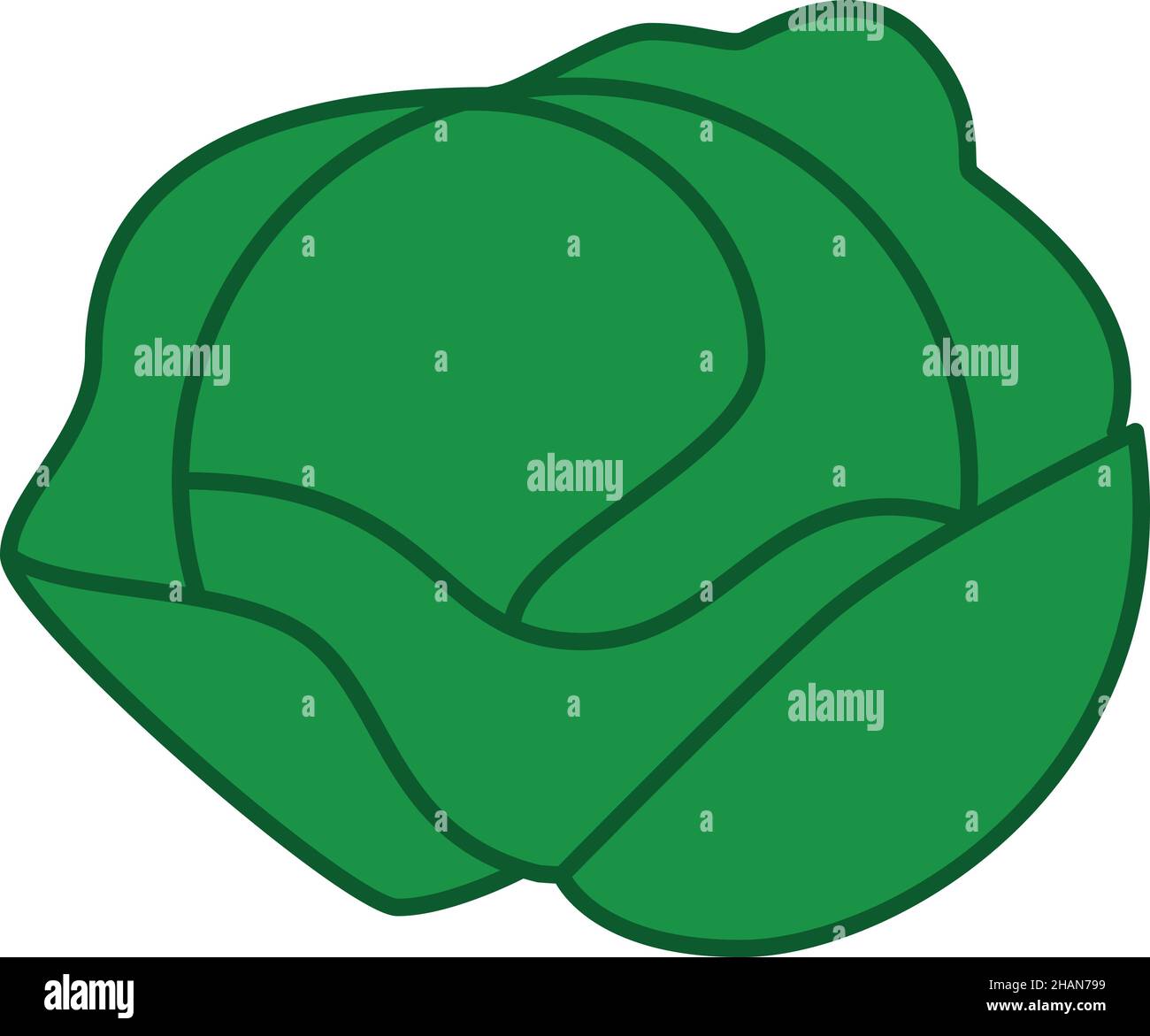 Iceberg Lettuce Filled Outline Icon Vector Stock Vector Image &amp; Art - Alamy