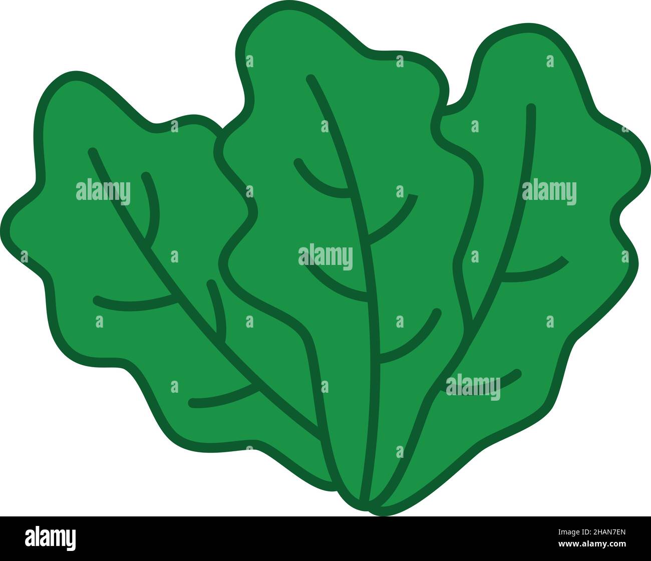 Romaine Lettuce Filled Outline Icon Vector Stock Vector