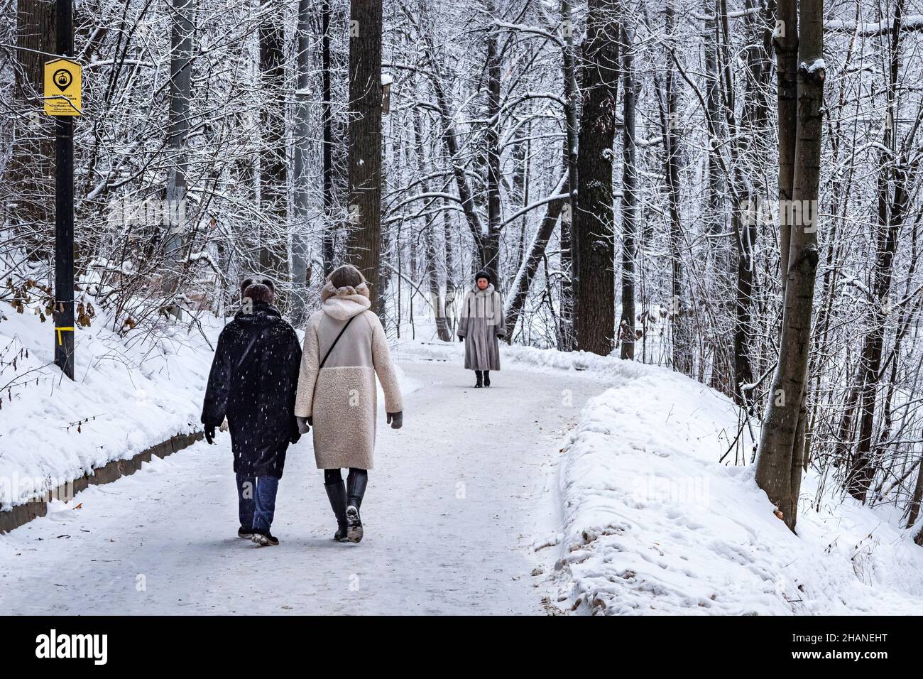 Прогнозы на 2022 2024 год. Рынок транспорта. Календарь 2023 2024 2025 2026 года. Рынок мобильных устройств. Динамика роста рынка.