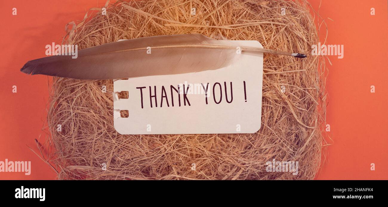 Close up of Thank You Word , Thanks Concept Idea Stock Photo - Alamy