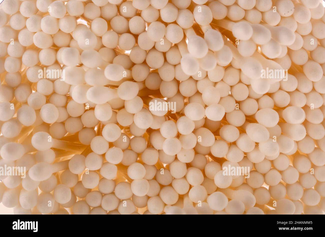 Otitis externa hires stock photography and images Alamy