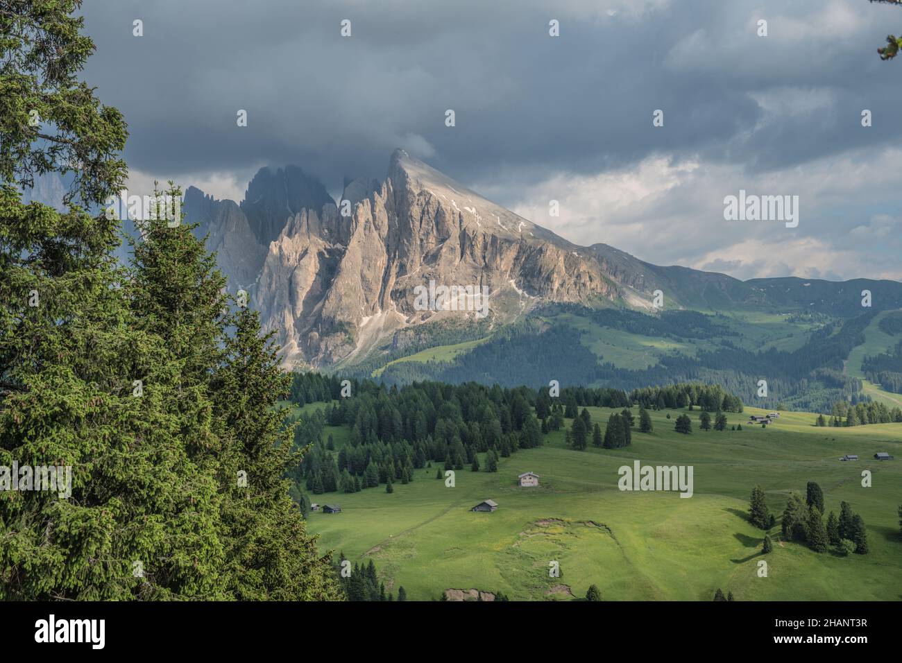 A summer mountain panorama with a blue sky and a few clouds on the Seiseralm in South Tyrol. Stock Photo