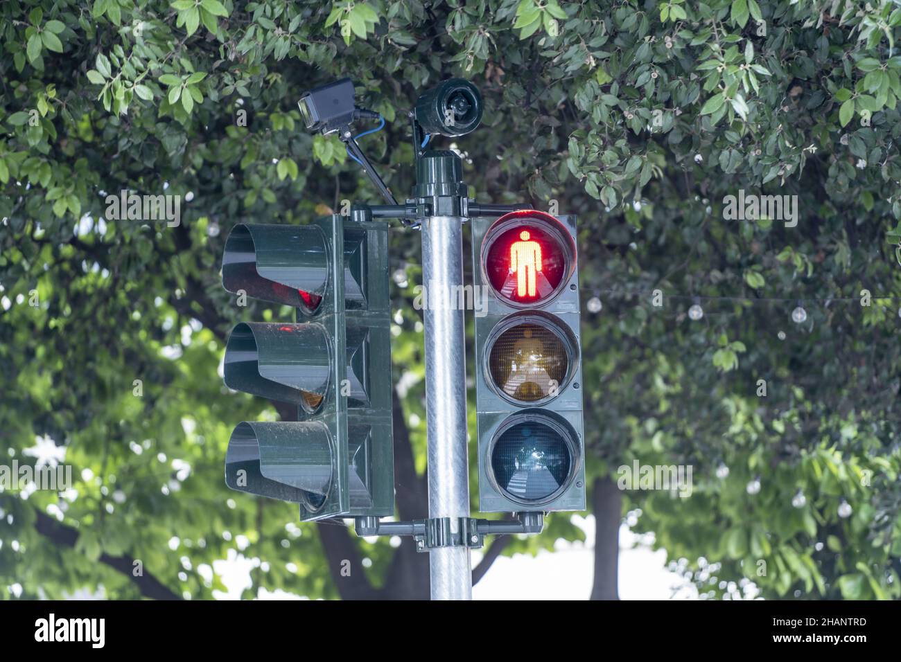 Beautiful shot of a traffic light showing a red sign Stock Photo - Alamy