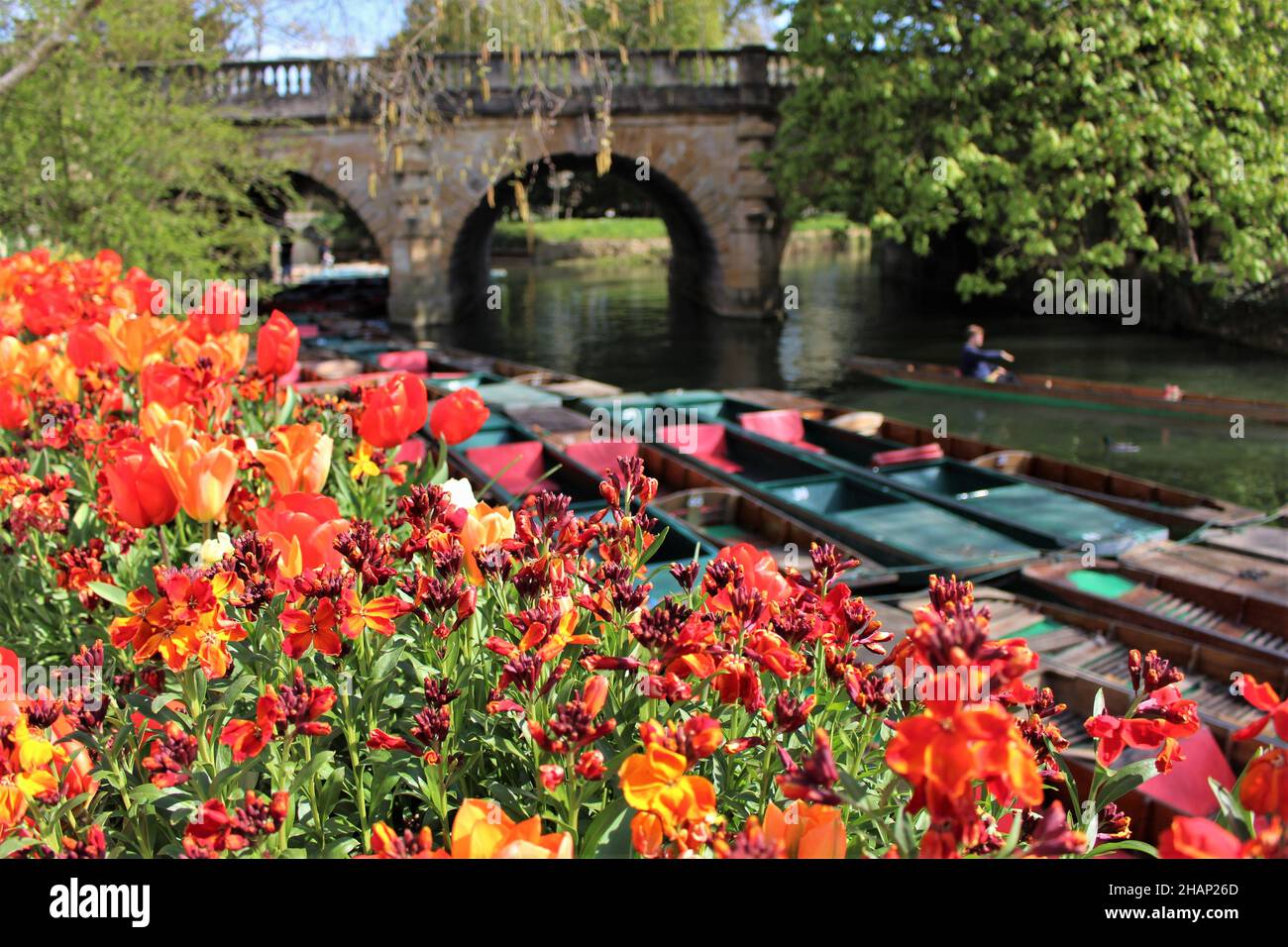 Magdalen bridge Oxford in Spring Stock Photo
