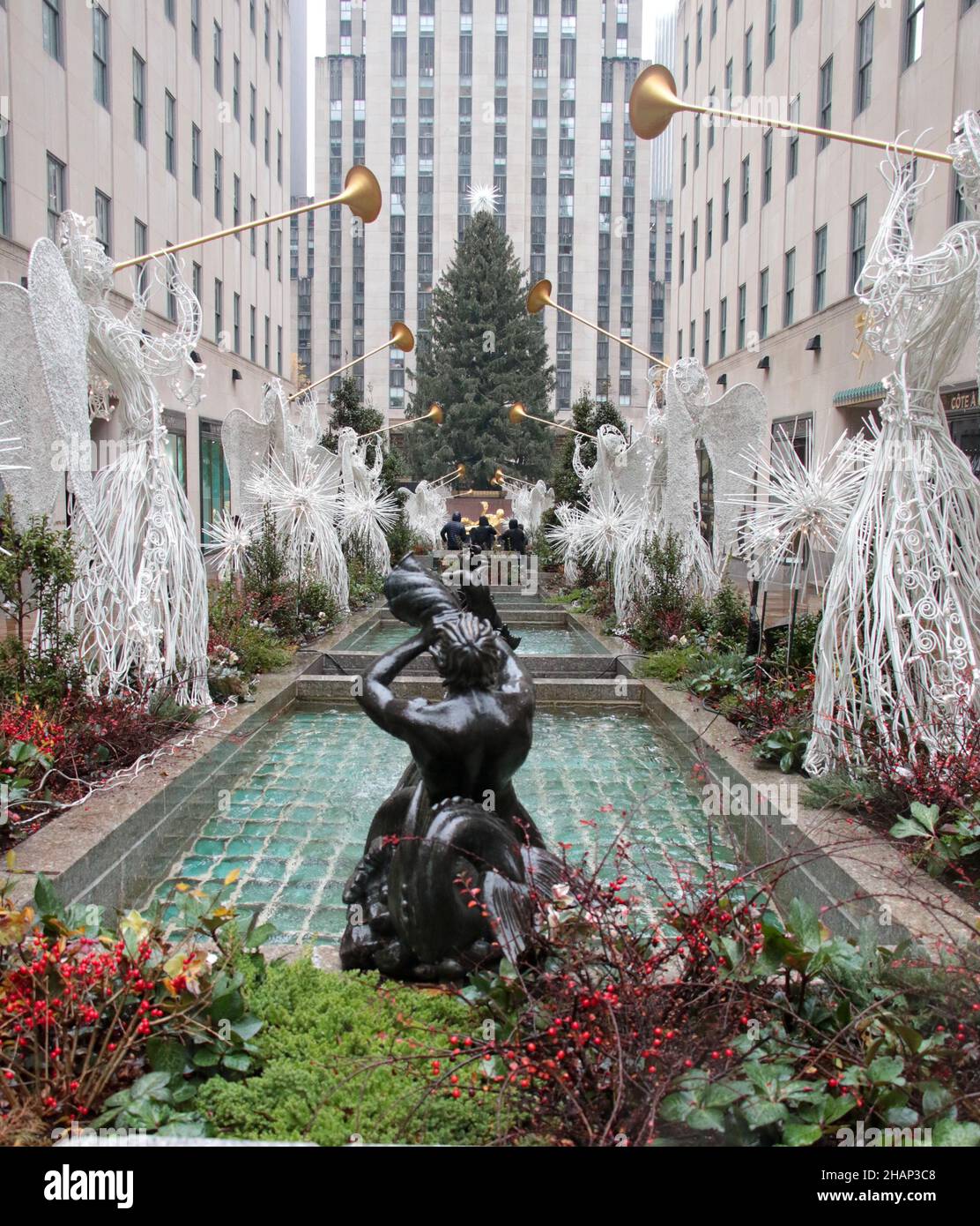 New York NY 20211126Christmas Tree Goes up in Rockefeller Center