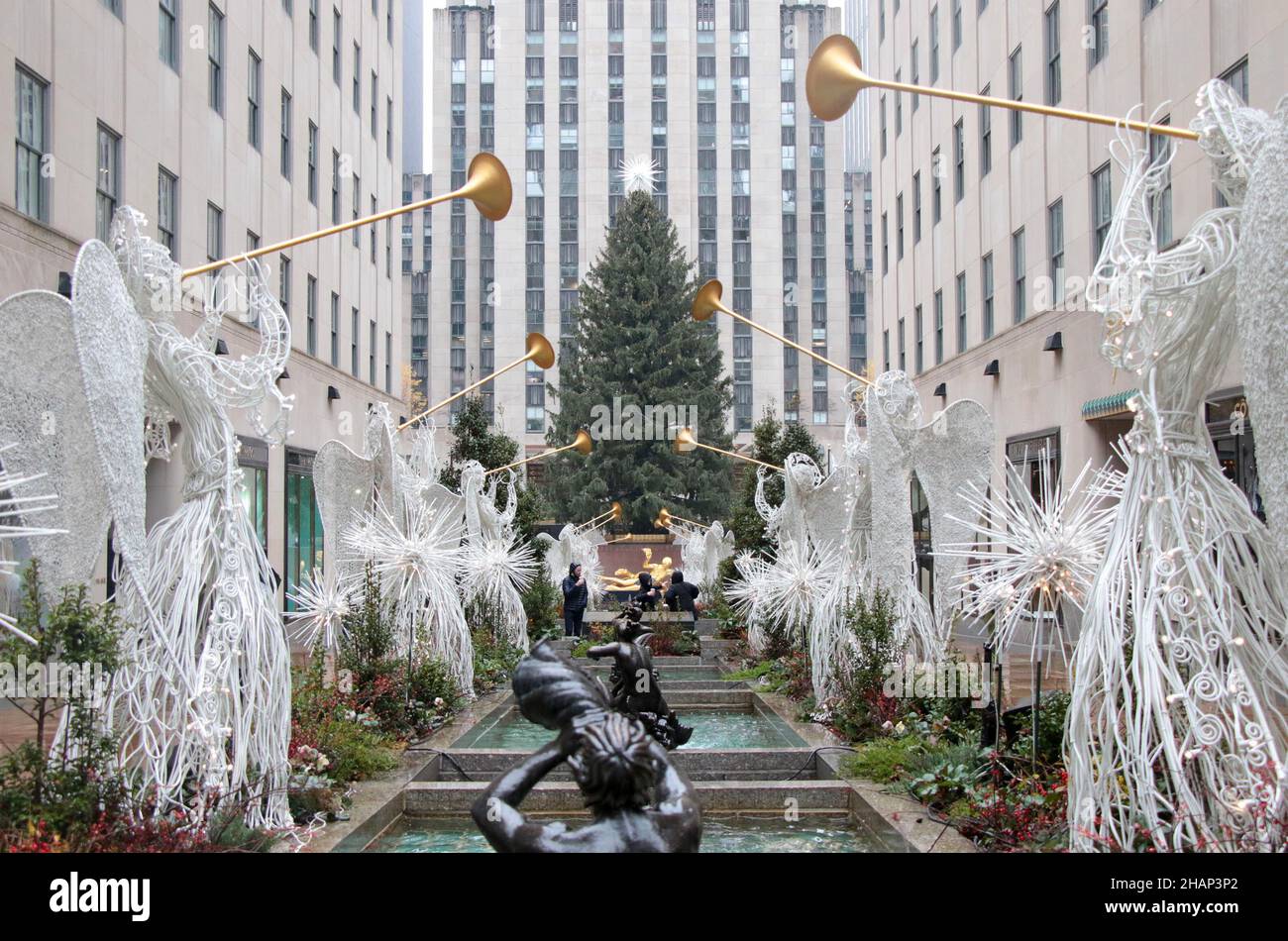 New York NY 20211126Christmas Tree Goes up in Rockefeller Center