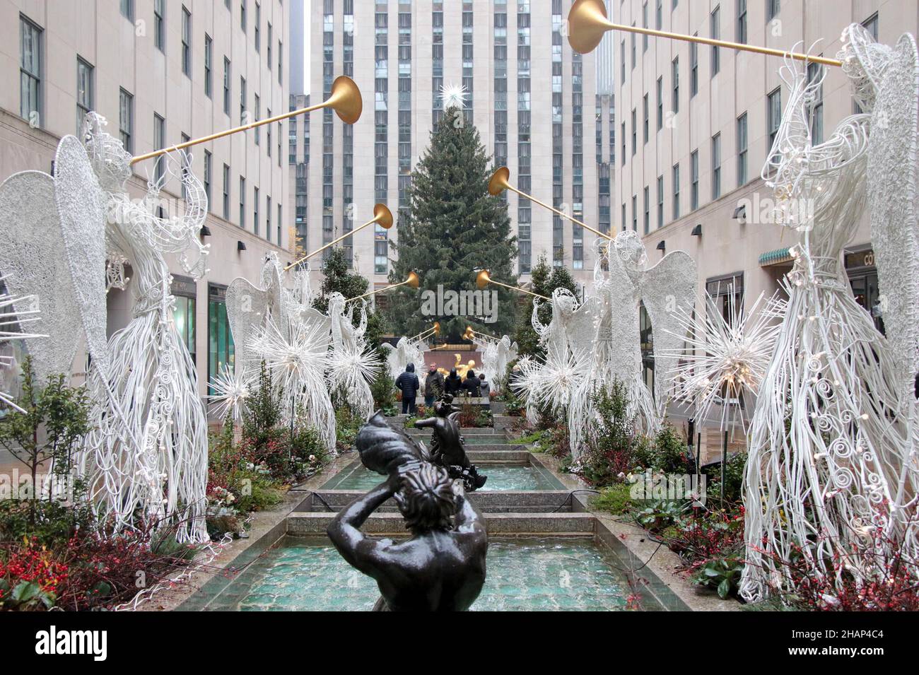 New York NY 20211126Christmas Tree Goes up in Rockefeller Center