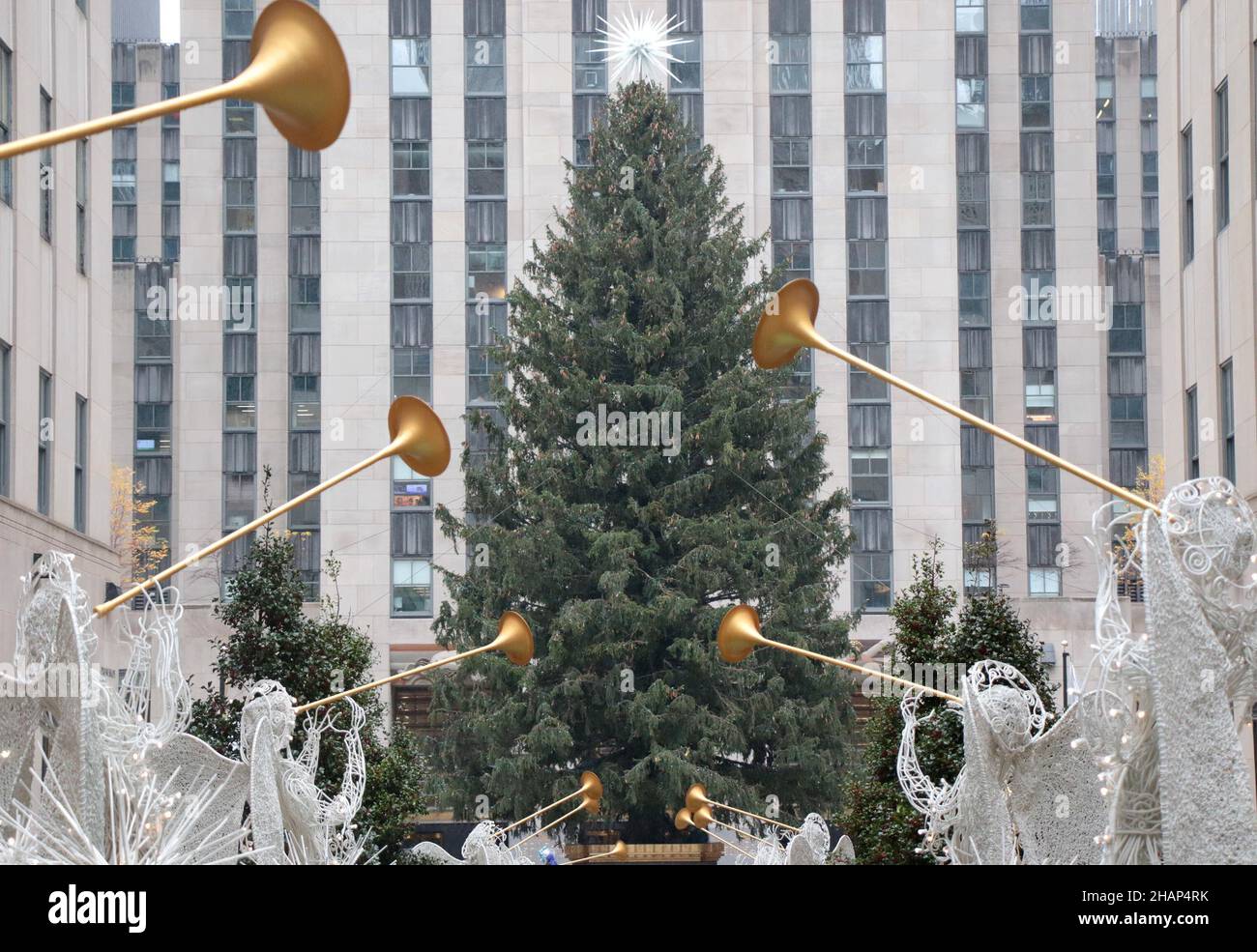 New York NY 20211126Christmas Tree Goes up in Rockefeller Center