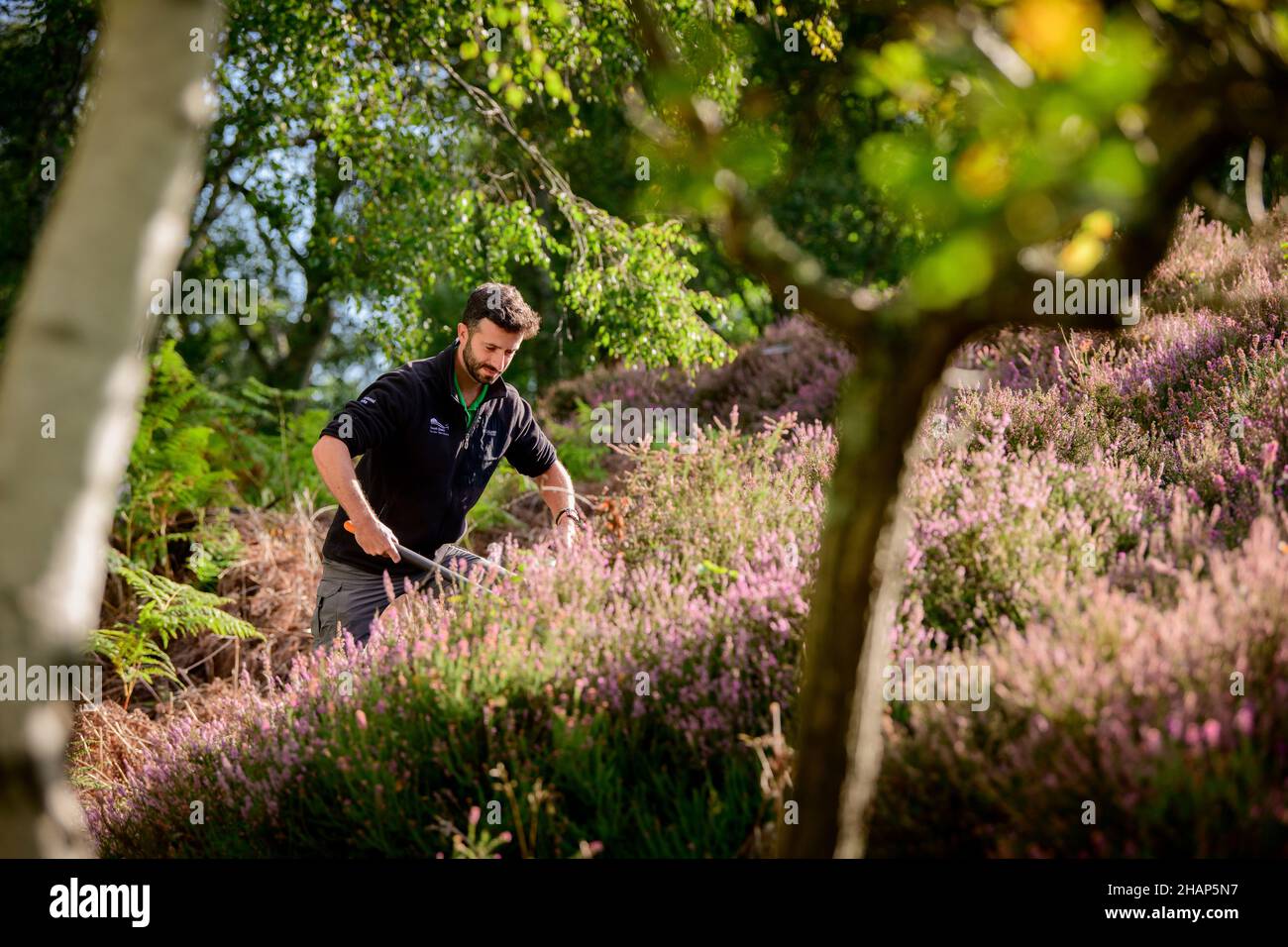 Charles Winchester, South Downs National Park ranger photographed on ...