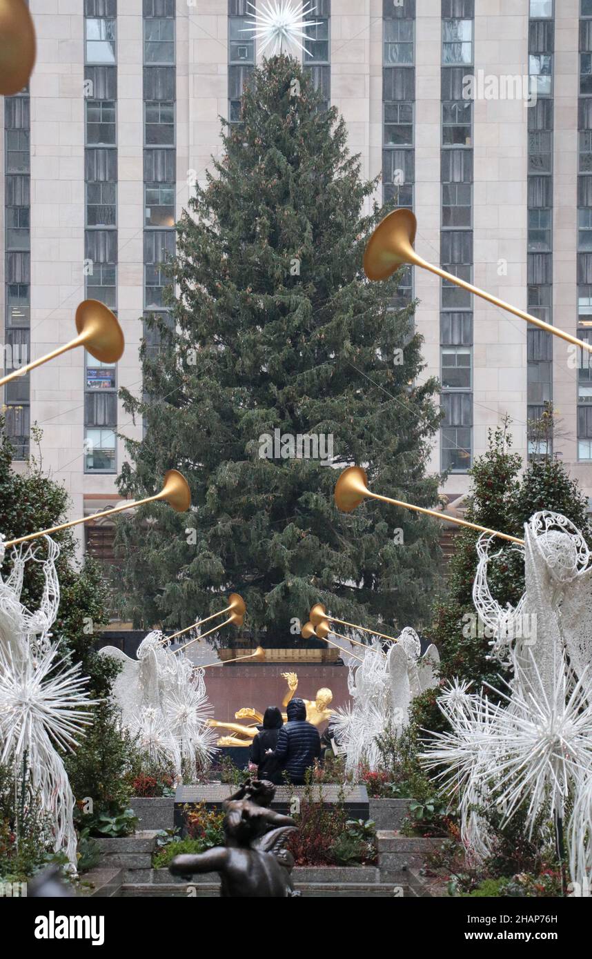 New York NY 20211126Christmas Tree Goes up in Rockefeller Center