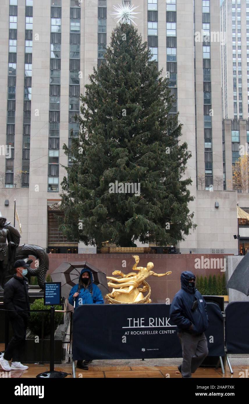 New York NY 20211126Christmas Tree Goes up in Rockefeller Center