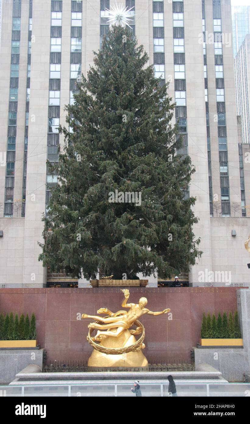 New York NY 20211126Christmas Tree Goes up in Rockefeller Center