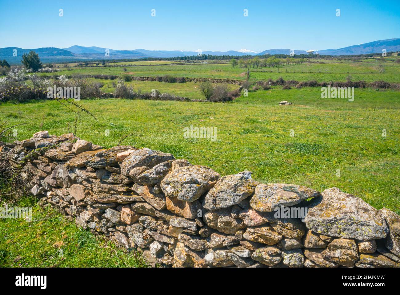 Meadow. Gandullas, Madrid province, Spain. Stock Photo