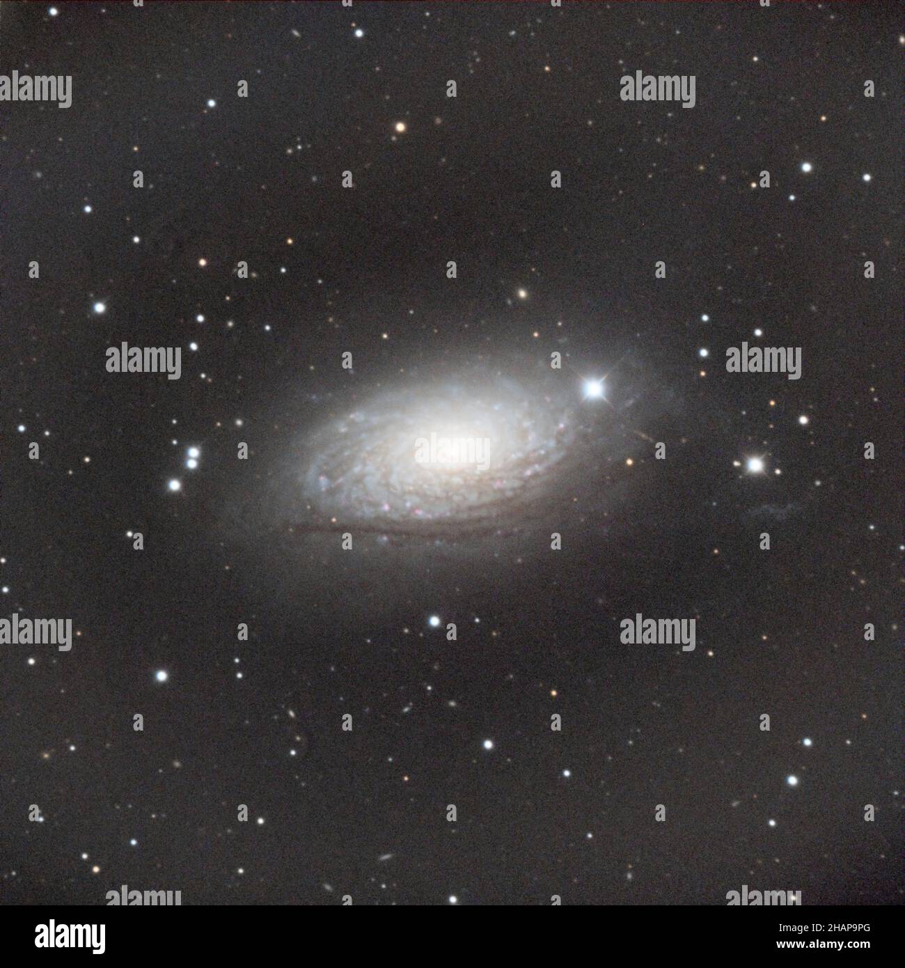 Messier 63 or M63, also known as NGC 5055 or the seldom-used Sunflower Galaxy,[6] is a spiral galaxy in the northern constellation of Canes Venatici Stock Photo