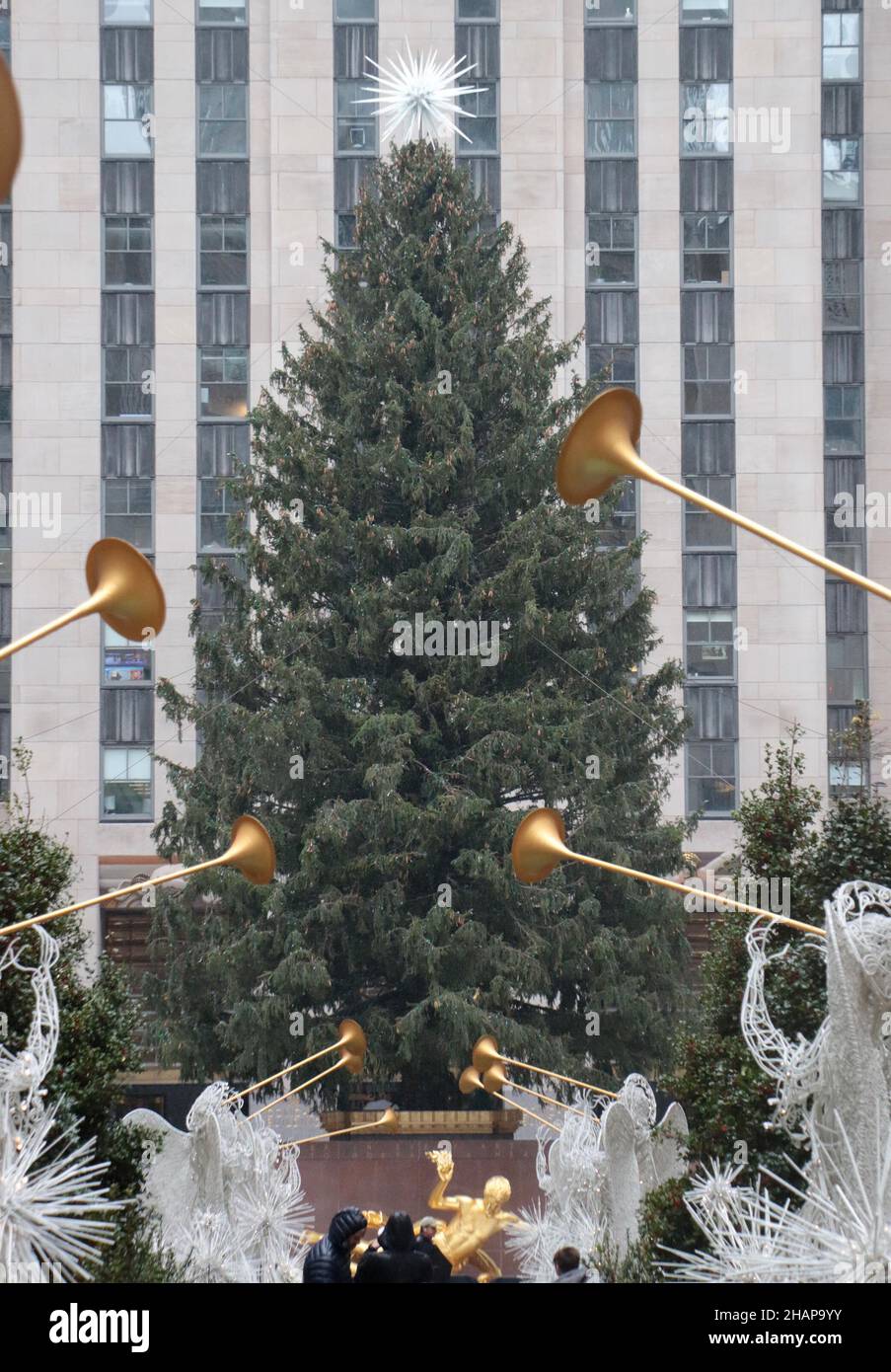 New York NY 20211126Christmas Tree Goes up in Rockefeller Center