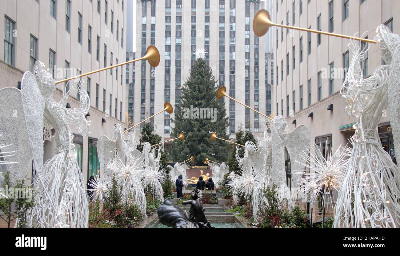 New York NY 20211126Christmas Tree Goes up in Rockefeller Center