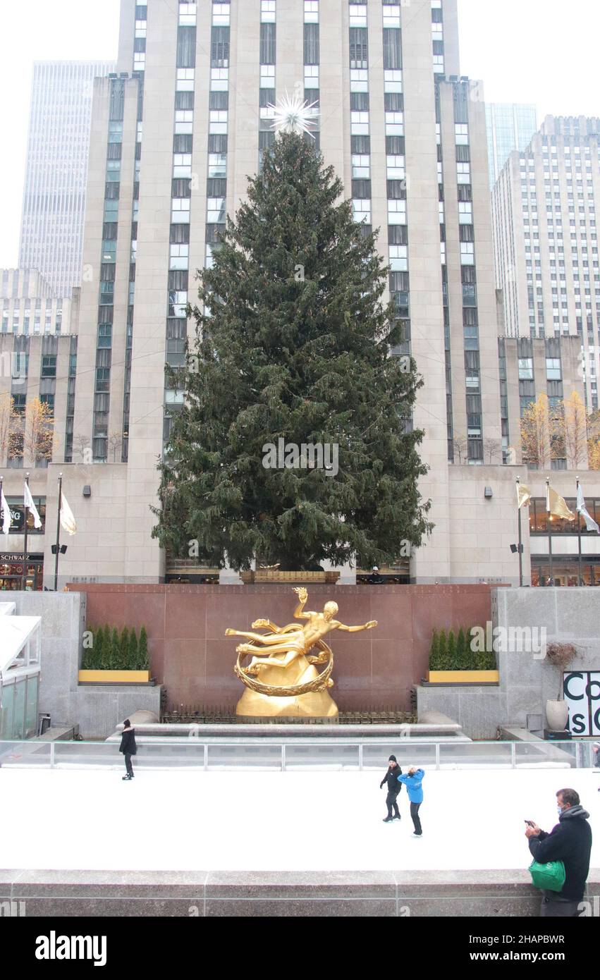 New York NY 20211126Christmas Tree Goes up in Rockefeller Center