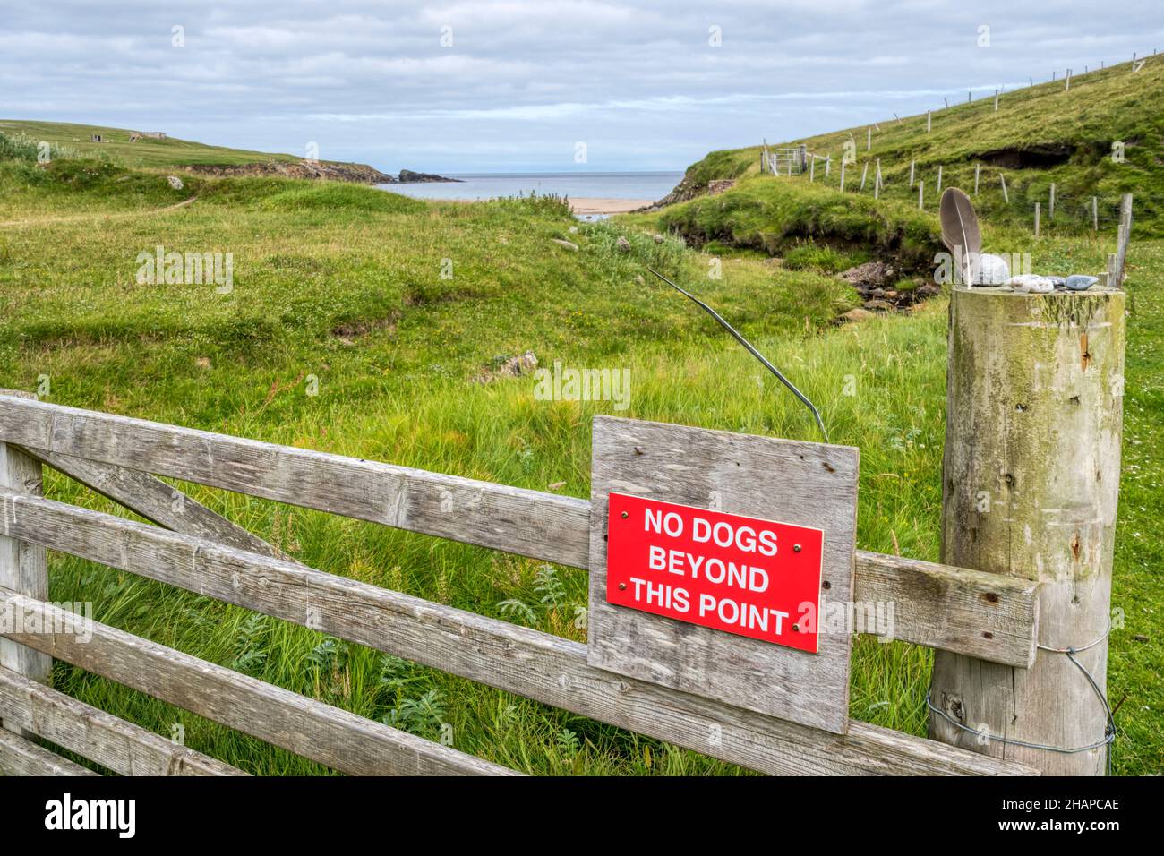 No Dogs Beyond This Point sign on farm gate on Unst, Shetland Islands. Stock Photo