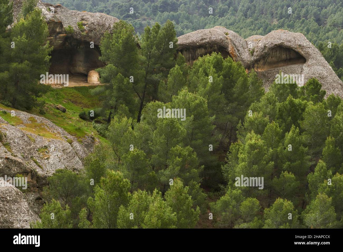 Geological formations of Tafoni (Taffoni) in the sandstone rock in El Chorro, Ardales. Andalusia, Spain Stock Photo