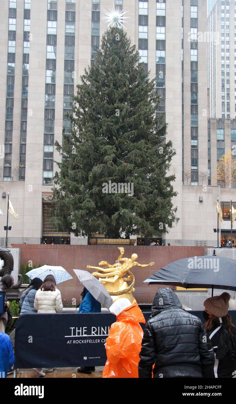 New York NY 20211126Christmas Tree Goes up in Rockefeller Center