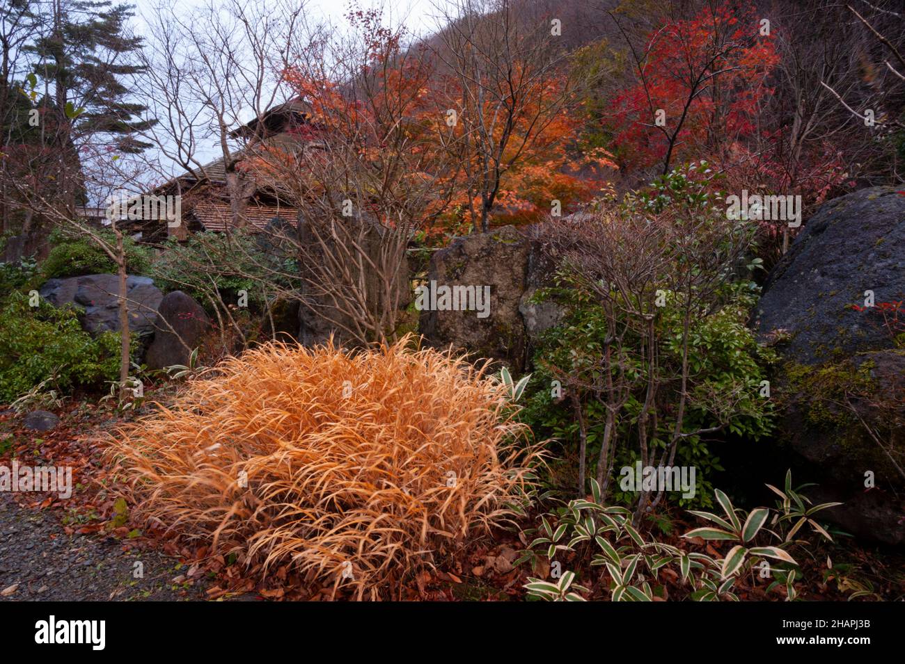 Autumn in the garden of the Chojukan ryokan, Hoshi Onsen, Gunma, Japan Stock Photo