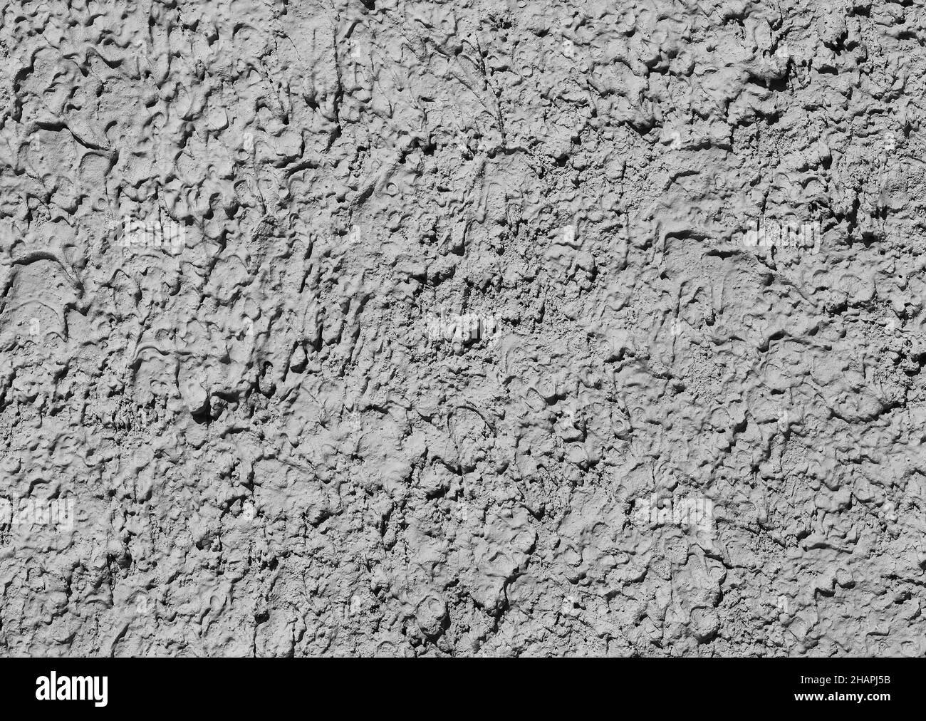 Bumpy cement wall texture background Stock Photo Alamy