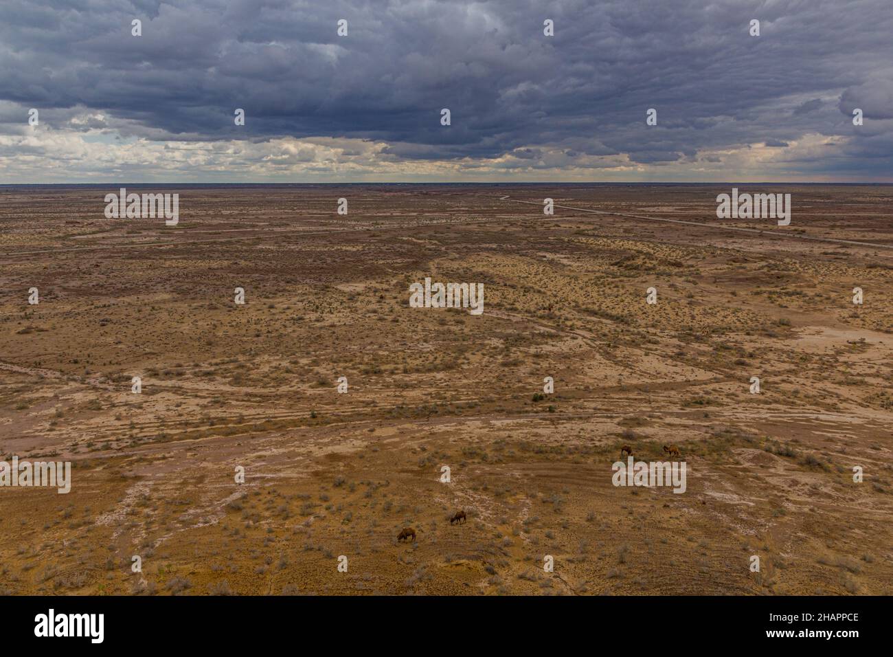 Landscape of Kyzylkum desert, Uzbekistan Stock Photo