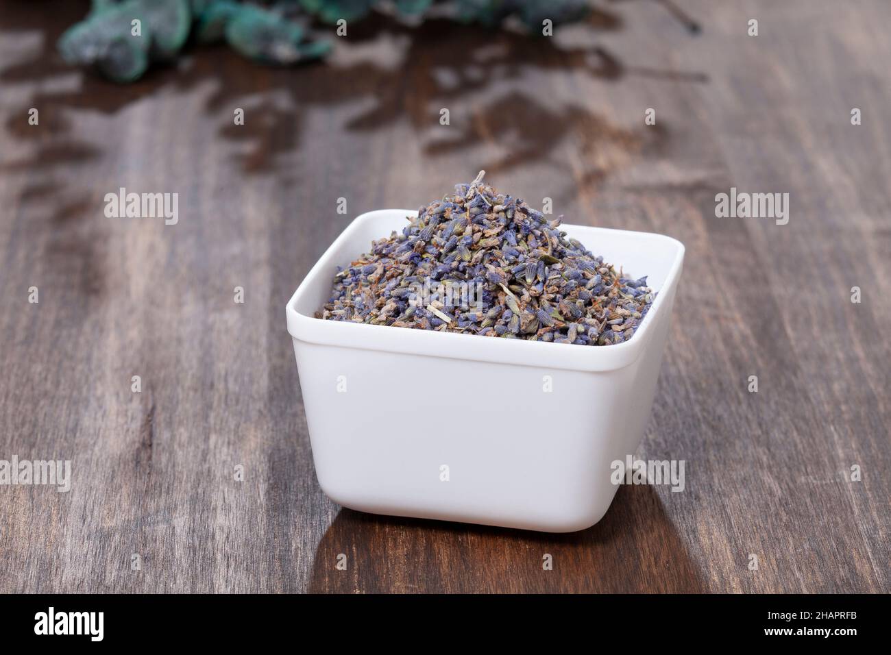 Lavandula Angustifolia Dried flowers and seeds of the lavender plant