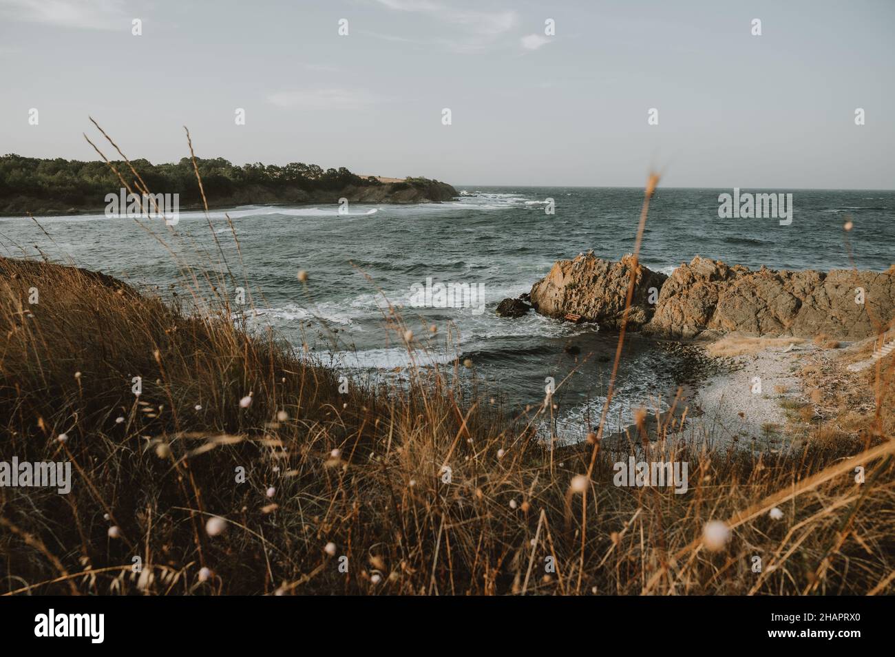 Hidden beach somewhere at the Bulgarian Black sea coast Stock Photo - Alamy