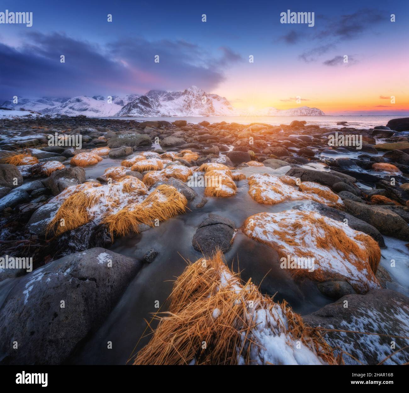 Stones with yellow grass in ice on the beach, snowy mountains Stock Photo