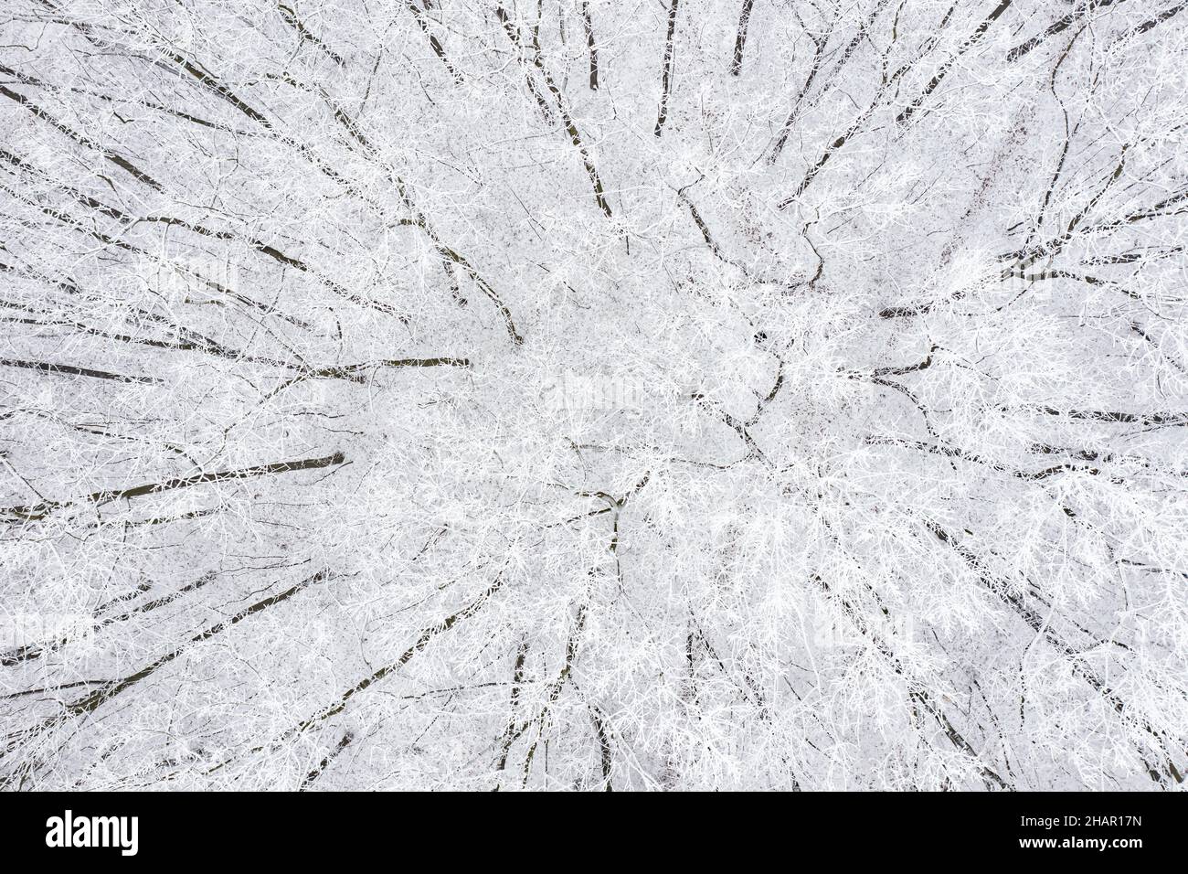 Frost covered landscape hi-res stock photography and images - Alamy