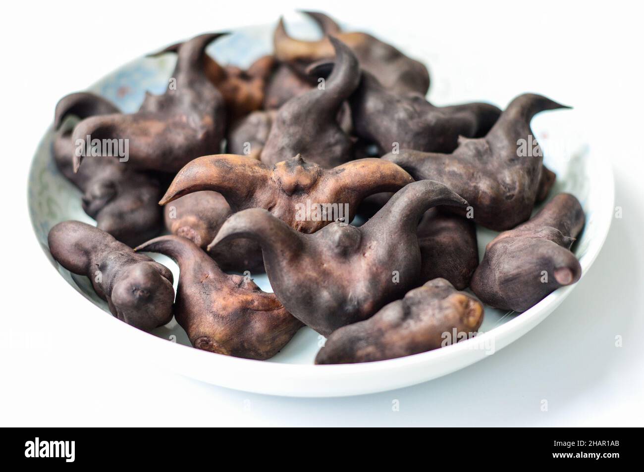 Chinese Ling Jiao (water caltrop) in a plate isolated on the white background. Stock Photo