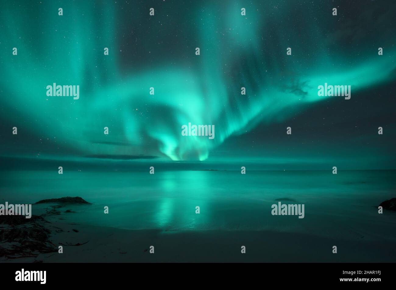 Aurora borealis over the sea. Northern lights in Lofoten islands Stock ...