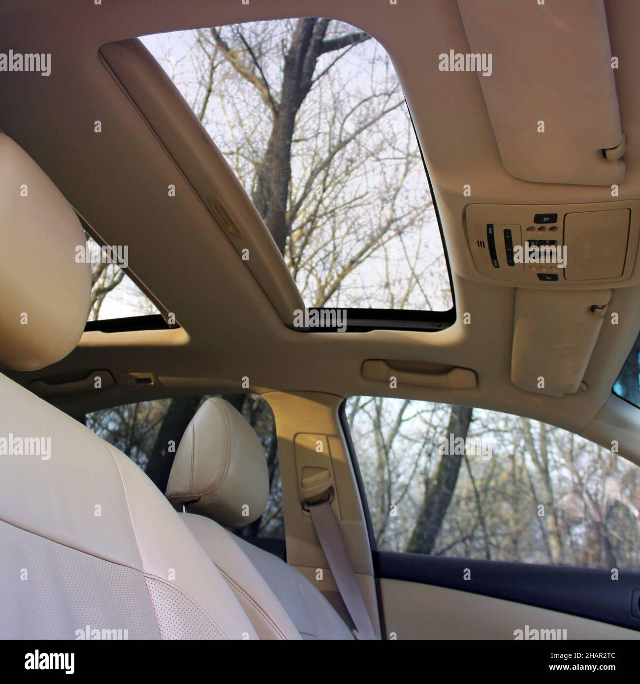 Car interior luxury service. Panoramic car roof Stock Photo Alamy
