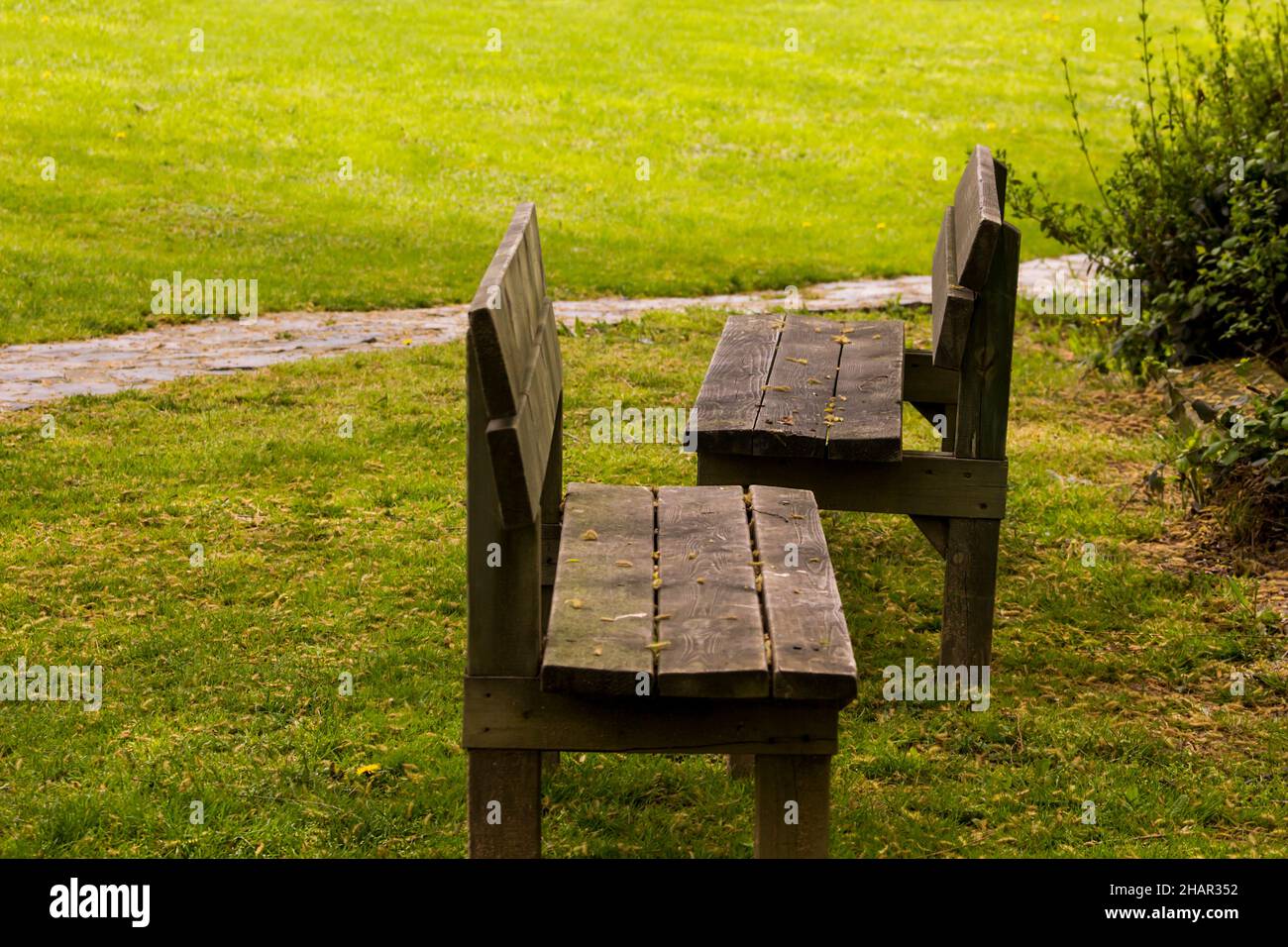 Two benches in the forest hi-res stock photography and images - Alamy