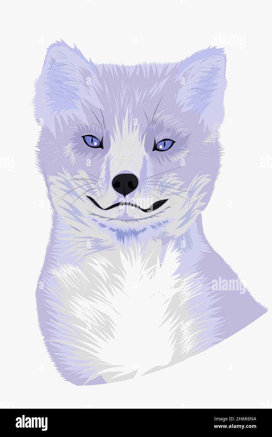 Cute arctic fox portrait with large fluffy ears Stock Vector