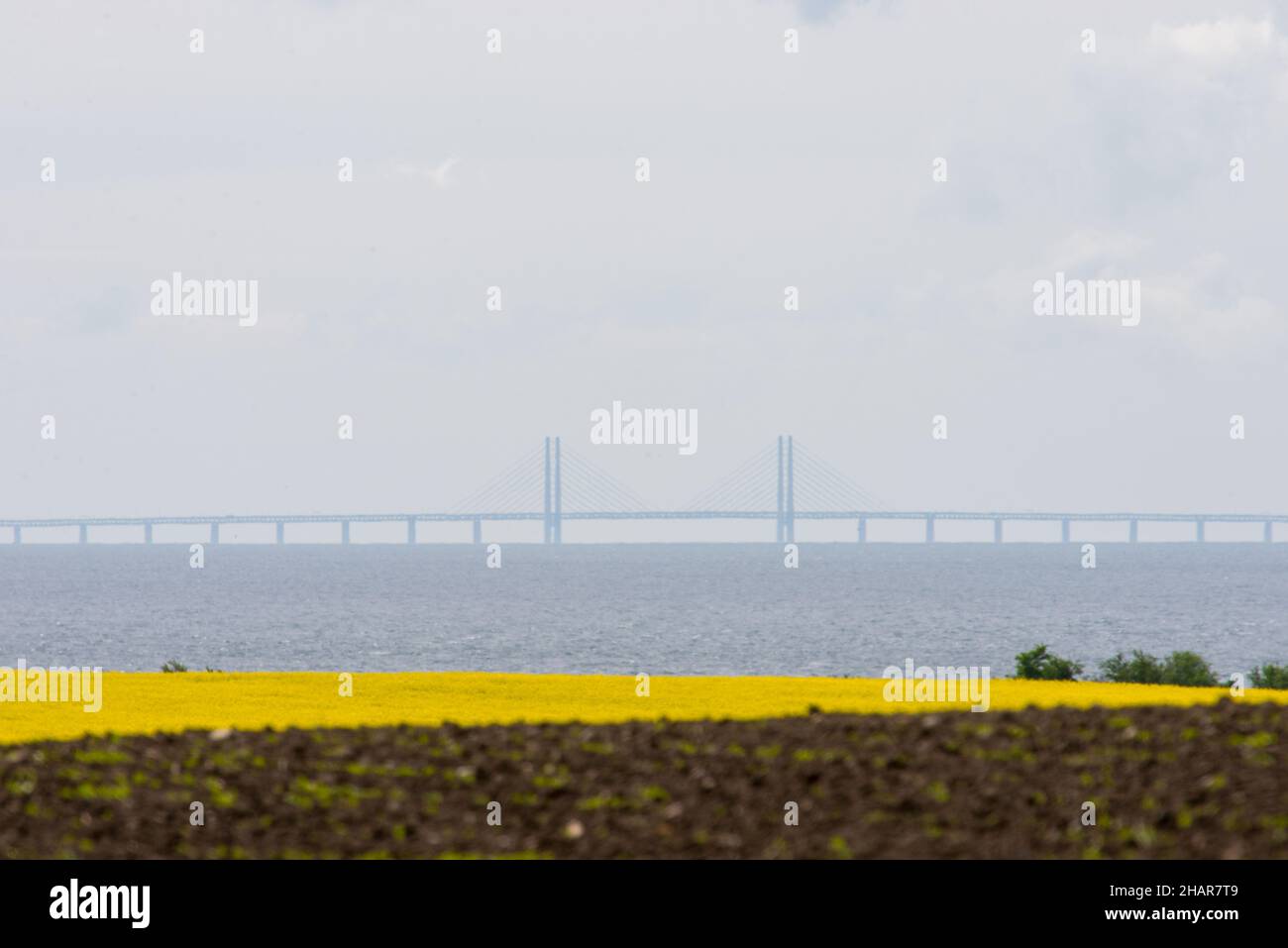 Landscape on the island Ven in spring with agricultural fields, the baltic sea and The Great Belt Fixed Link (Storebæltsforbindelsen) in the backgroun Stock Photo