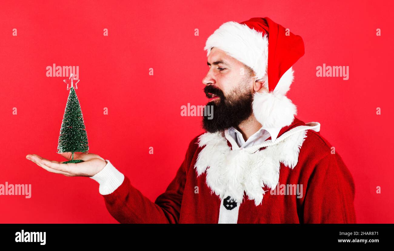 New Year. Santa with little Christmas tree. Bearded man with small fir-tree. Sale and discount. Stock Photo