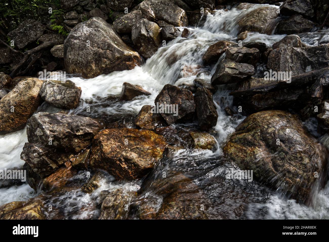 landscape Stock Photo